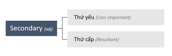 phụ từ tính secondary