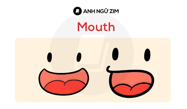 thanh-ngu-lien-quan-den-khuon-mat-mouth-trong-idioms-for-ielts-speaking-part-1