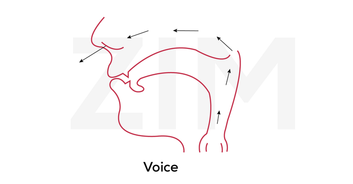 pronunciation and nasal pronunciation 01