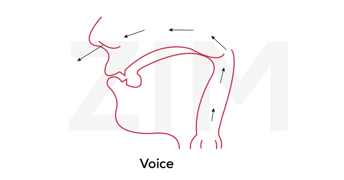 pronunciation and nasal pronunciation 03