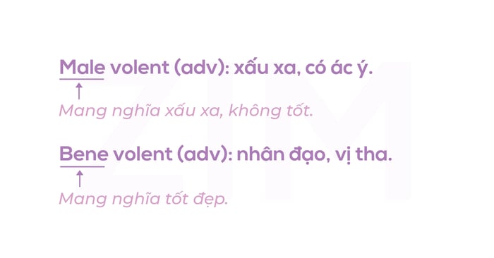 Ví dụ về việc học tiếng Latin