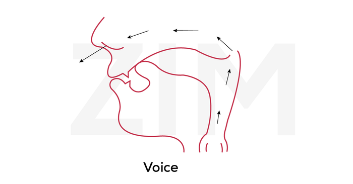 pronunciation and nasal pronunciation 02