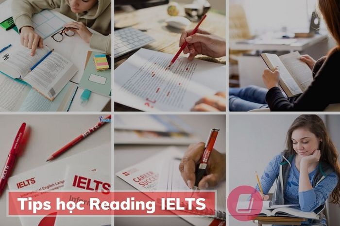 Các phương pháp luyện Reading IELTS hiệu quả