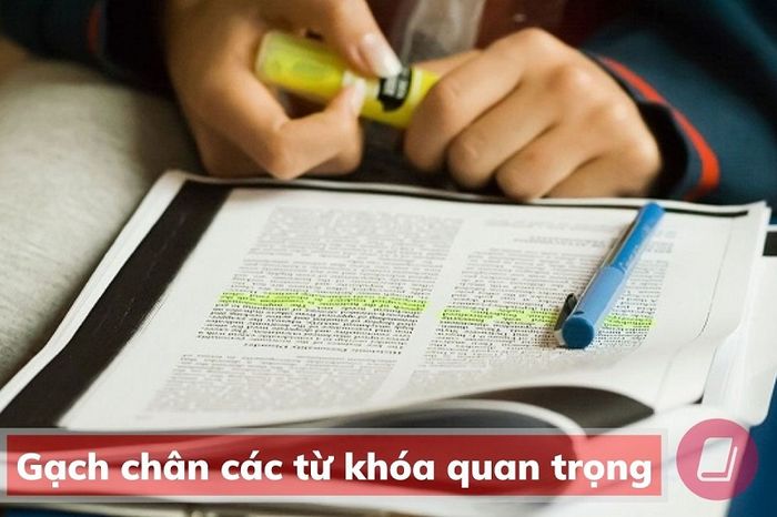 Gạch dưới từ khóa quan trọng - phương pháp luyện reading ielts hiệu quả