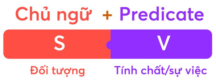 cau-truc-cau-thong-dung-trong-ielts-writing-task-2-cau-truc-co-ban