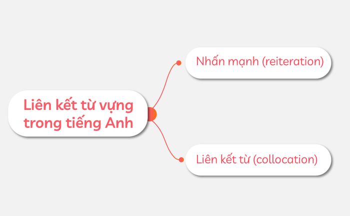 liên-kết-từ-trong-tiếng-anh (Cohesion of words in English)