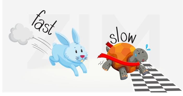 tinh-khach-quan-trong-lap-luan-ielts-writing-minh-hoa