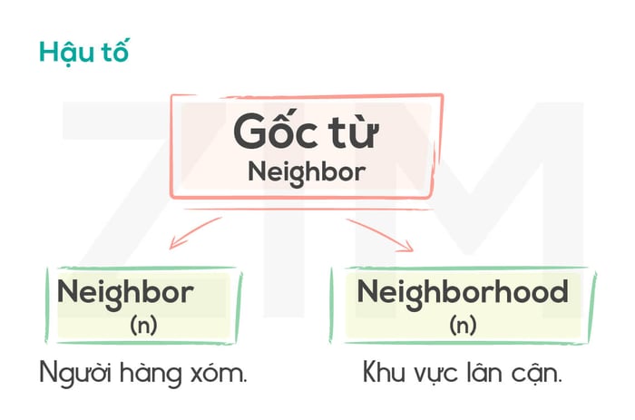 góc từ và hậu tố hàng xóm