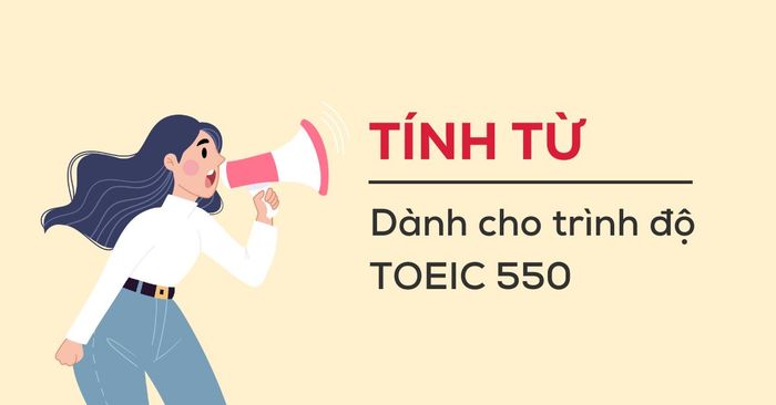 Tính từ - Định nghĩa và phân loại & Bài tập dành cho trình độ TOEIC 550