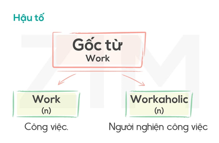 góc từ và hậu tố hoạt động