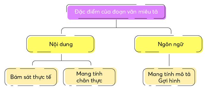 đặc điểm của đoạn văn mô tả