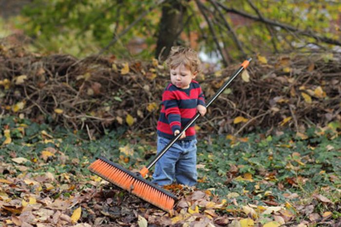 Query 3: sweeper, fall season