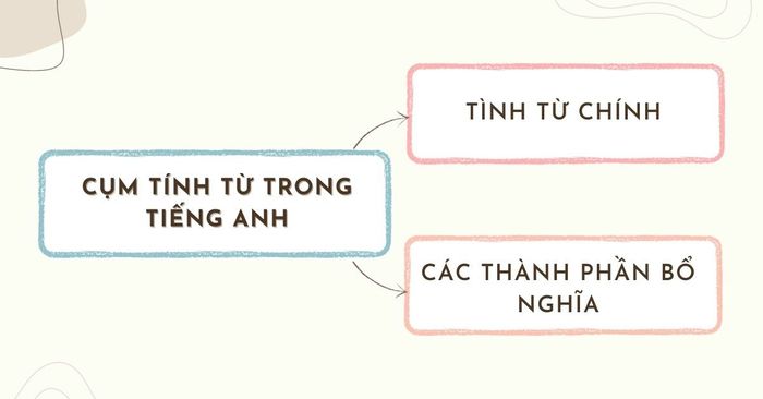 Tính từ nhóm trong tiếng Anh