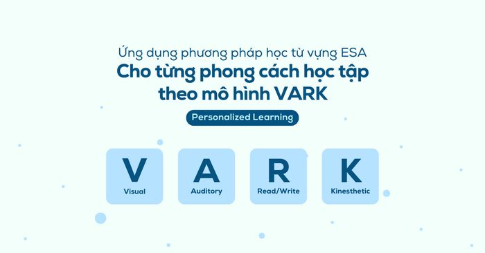 sử dụng phương pháp esa cho từng phong cách học tập theo mô hình vark