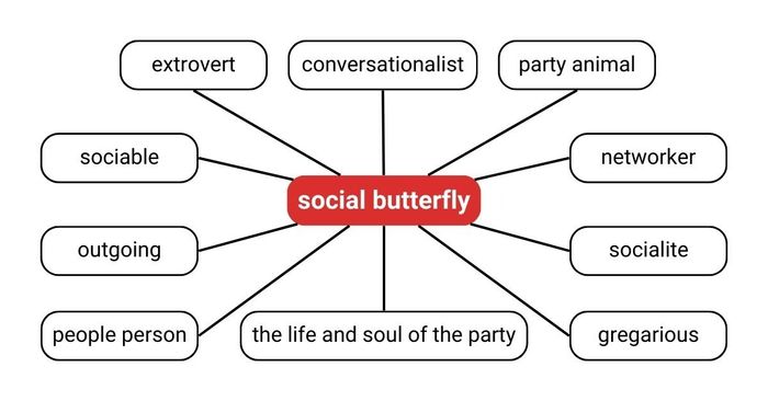 Các cách diễn đạt tương đương với social butterfly