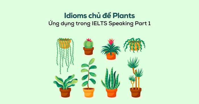 thành ngữ chu de plants và ung dung trong ielts speaking part 1