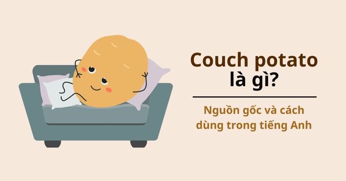 couch potato là gì? nguồn gốc và cách sử dụng trong tiếng anh