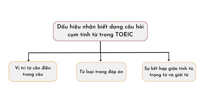 Dấu hiệu phân biệt dạng câu hỏi về cụm tính từ trong TOEIC