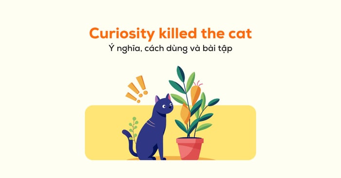 curiosity killed the cat là gì? Ý nghĩa, cách dùng và bài tập