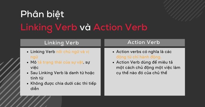 Differentiating Action Verb and Linking Verb in TOEIC
