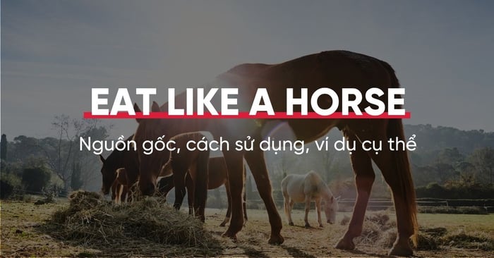 tat tan tat ve thanh ngu eat like a horse Học viện Mytour