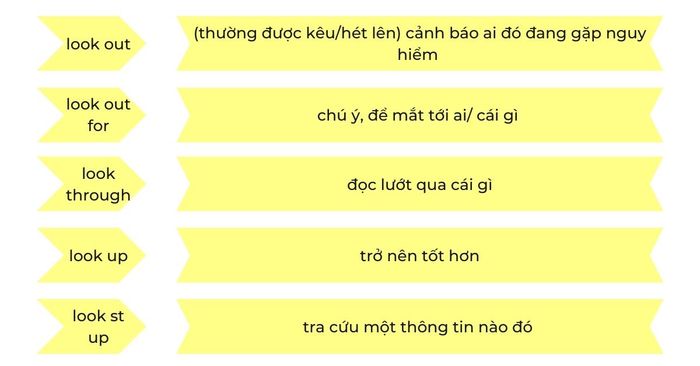 các phrasal verb với look thường xuyên được sử dụng trong tiếng anh