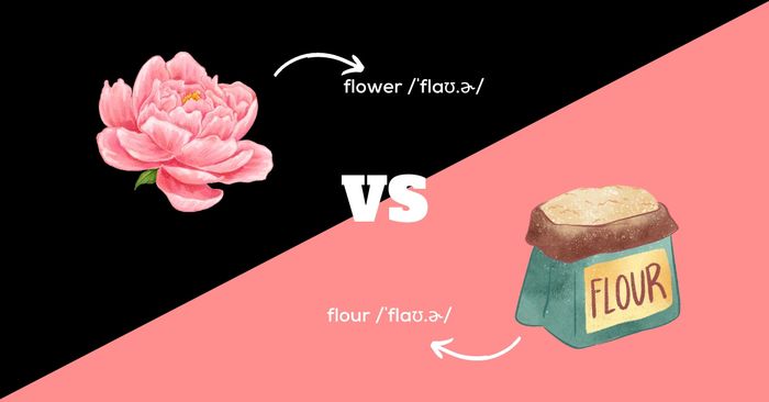 Flour – Flower