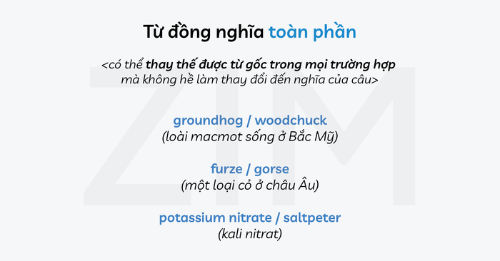 từ-tuong-dong-synonyms-toan-bo