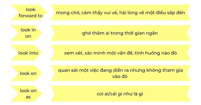 các phrasal verb look thường xuyên sử dụng