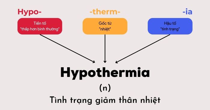 hình ảnh thay thế