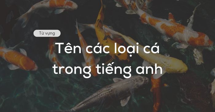 tên các loại hải sản bằng tiếng Anh đầy đủ và tỷ mỉ