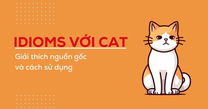 idioms with cat: explaining origins and common usage