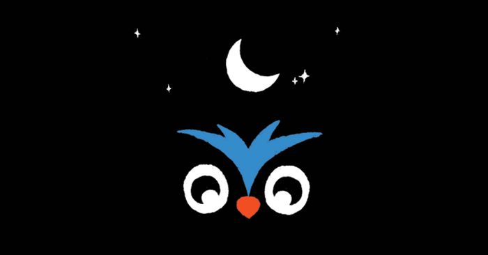 night owl meaning, usage, and application exercises