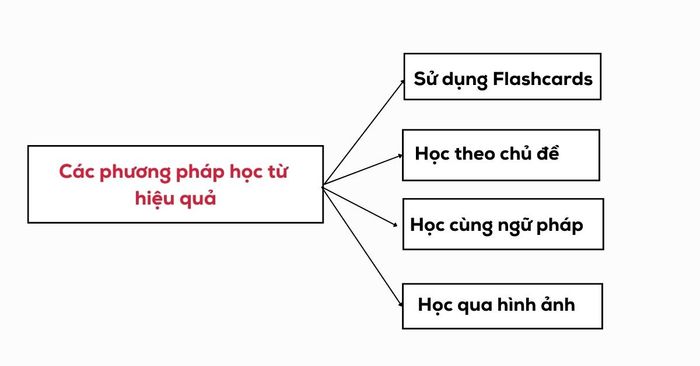 Hình ảnh - mô tả