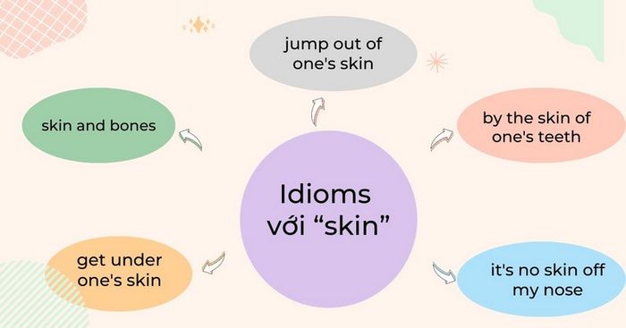 various skin-related idioms