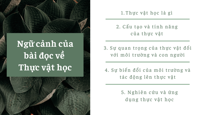 mô tả hình ảnh