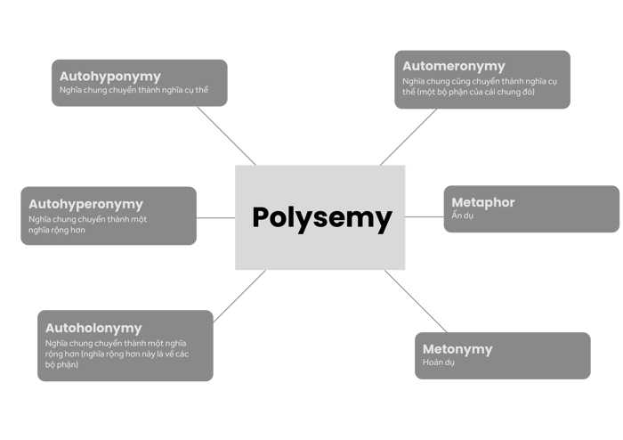 cac-loai-nghia-chuyen-polysemy