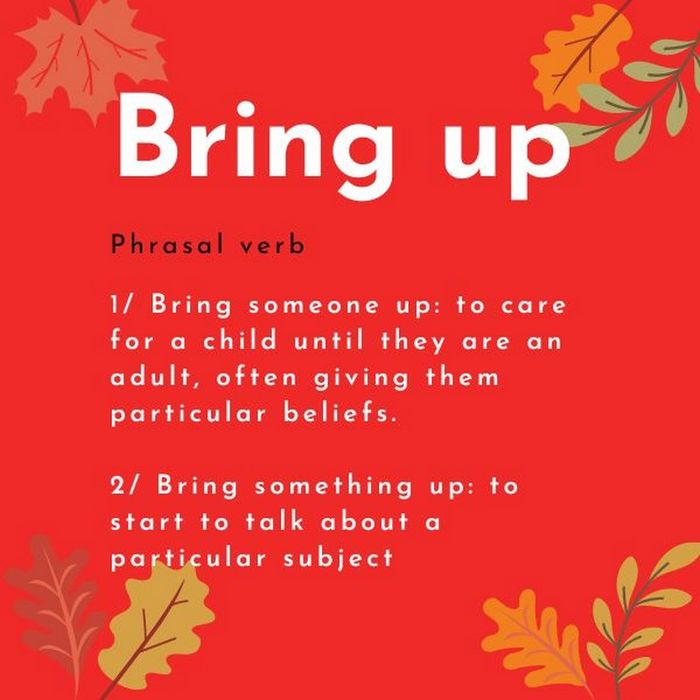 phrasal verb bring + up nghĩa