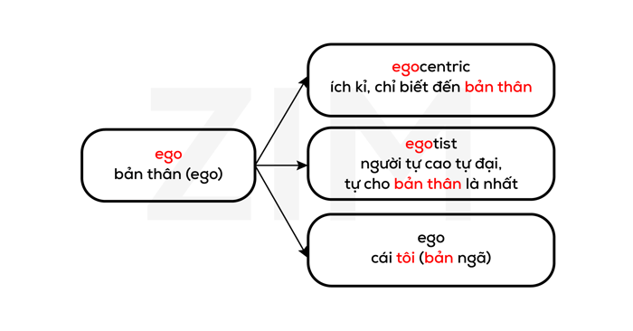 phuc-tu-la-tin