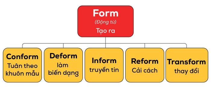 learning-vocabulary-through-root-word-root-word-form-diagram