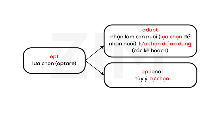 goc-la-tu-latin