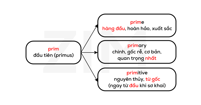 goc-la-tu-latin