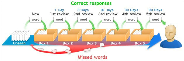 Phối hợp Spaced Repetition và bộ thẻ ghi nhớ