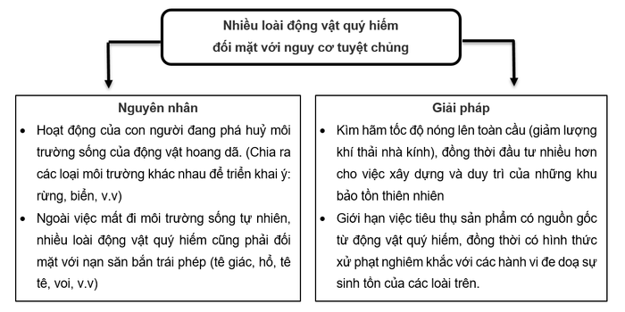 Learning vocabulary by topic from the IELTS Speaking sample mini series 7 environment part 5 cause and solution