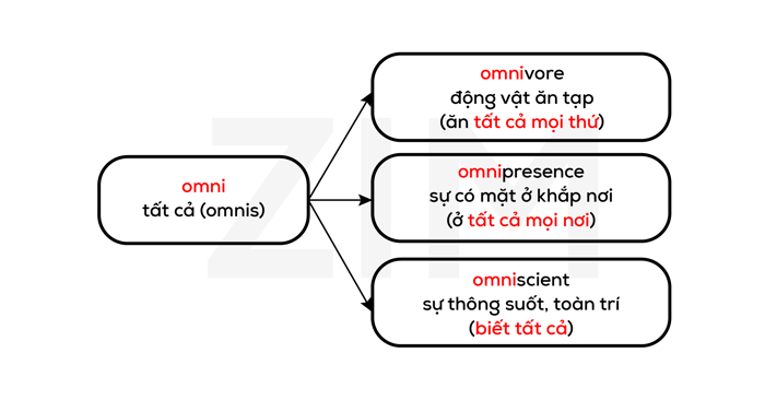 goc-la-tu-latin