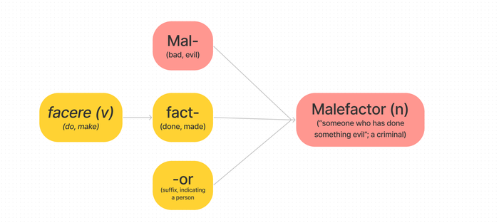 learning-english-vocabulary-through-the-root-malefactor