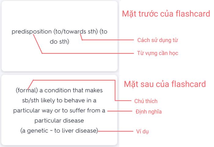 học từ vựng tiếng Anh qua Quizlet 05