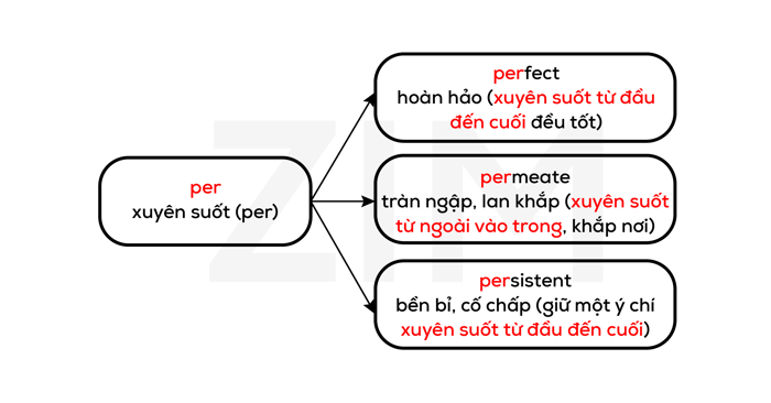 goc-tu-latin