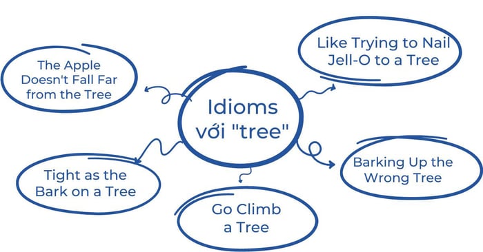 5 idioms với cây