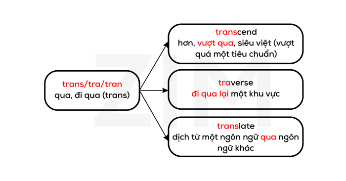 goc-la-tu-latin